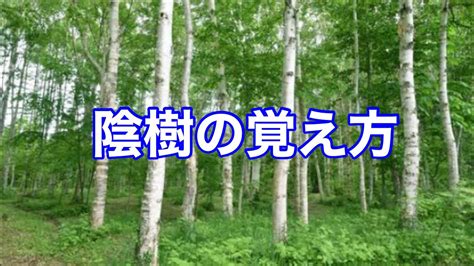 陽樹 陰樹|陰樹の特徴と陽樹の特徴 違いも解説 – 庭師の独り言